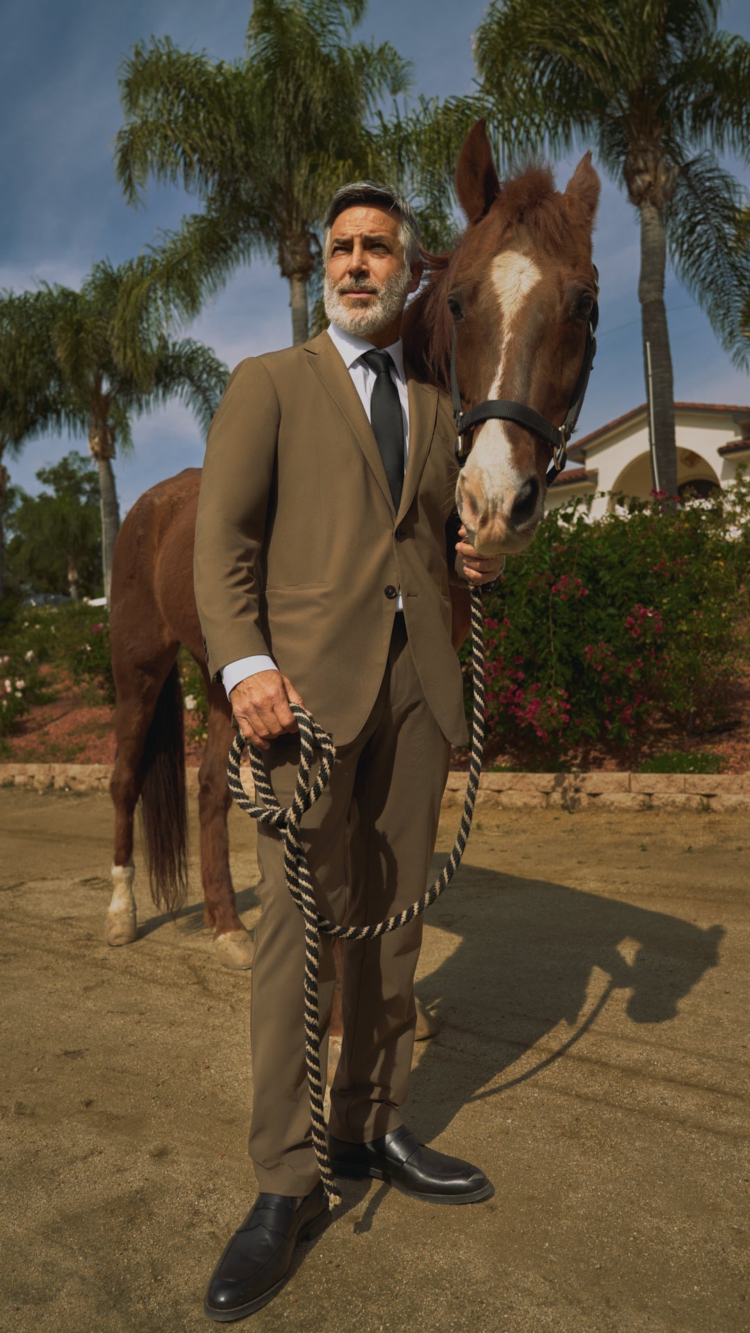 Equestrian Drop