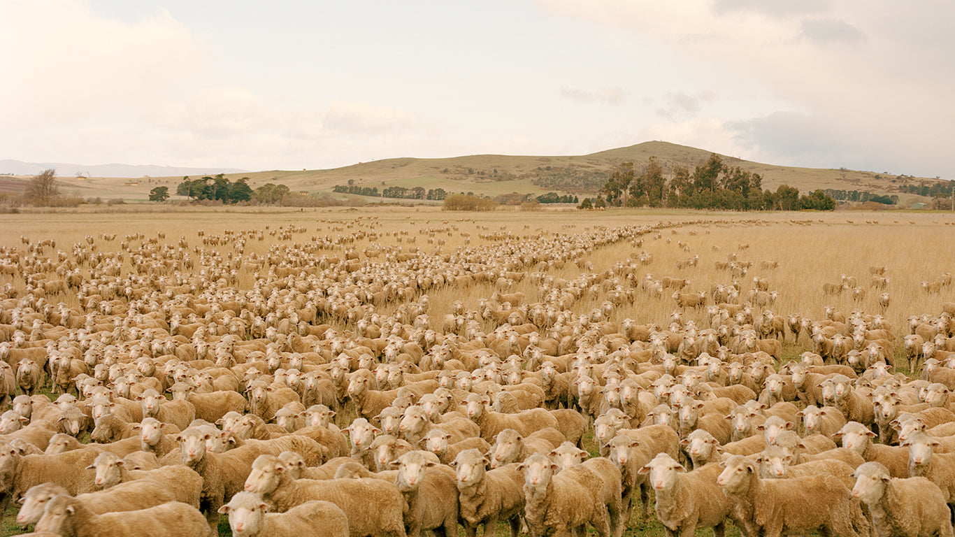 What Everyone Is Missing About Sustainable Fashion