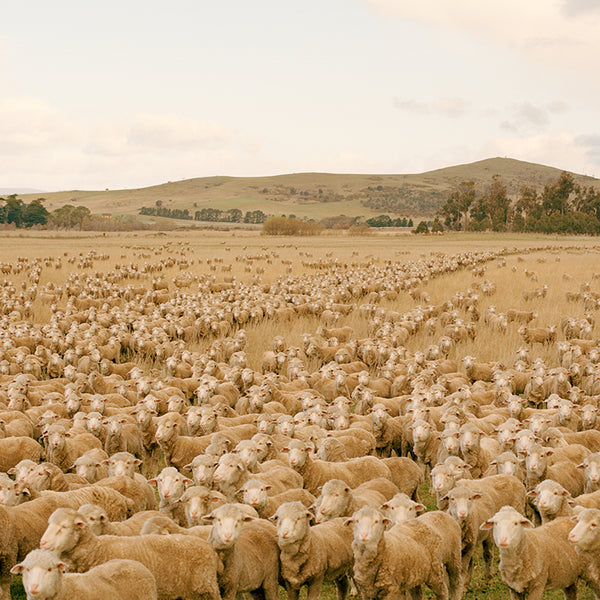 {{  related_article.title }}