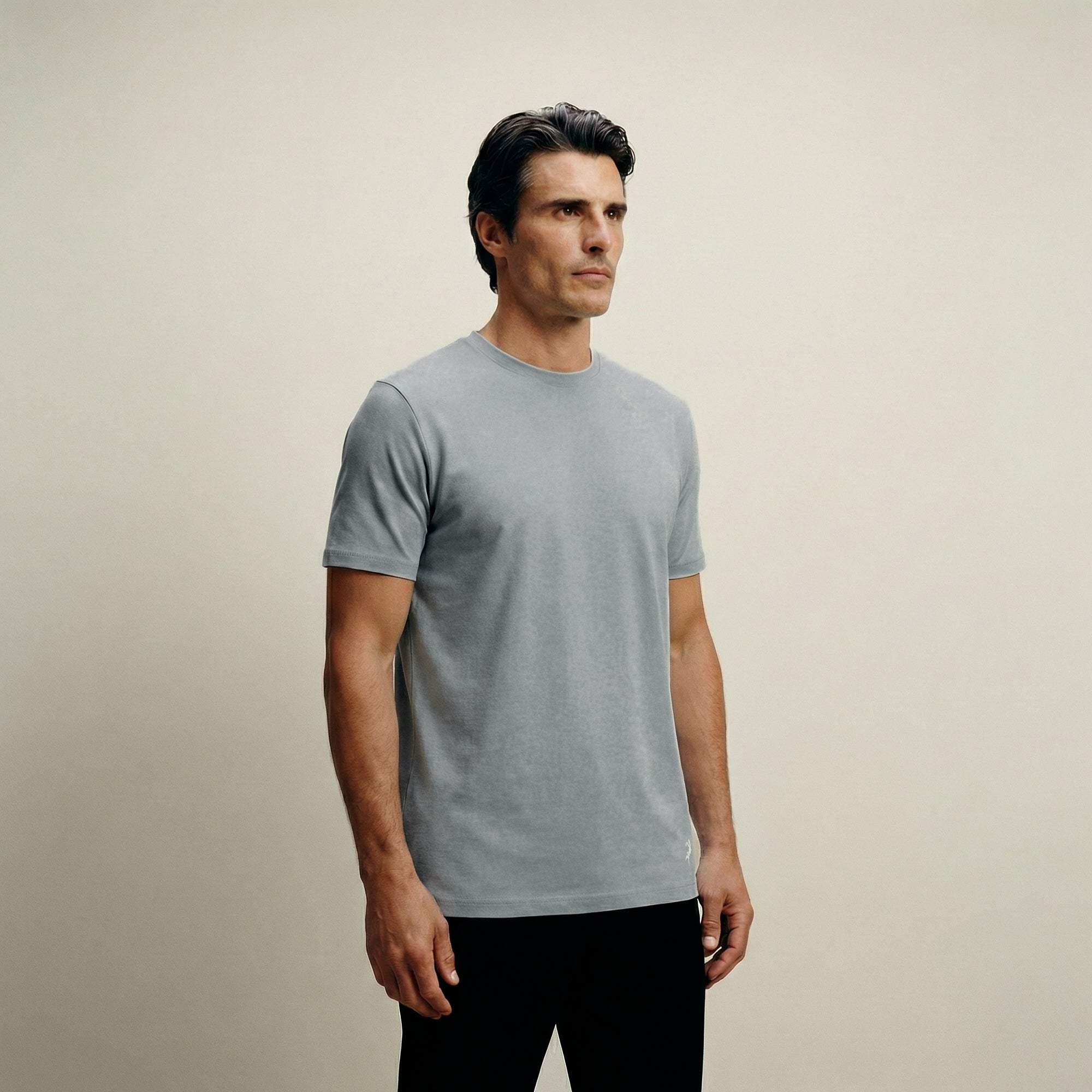 french terry blue gray t-shirt model matteo in vapor