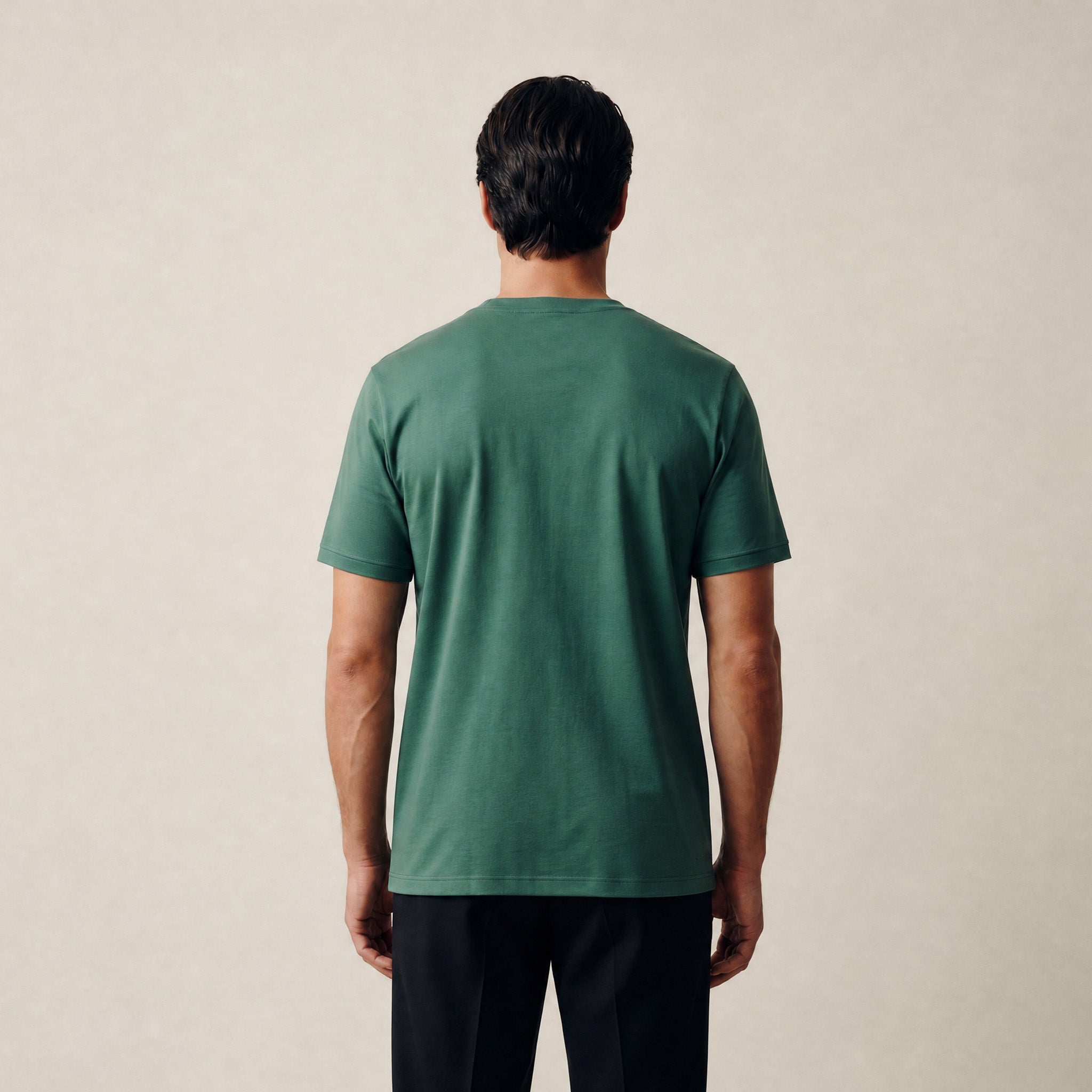 Pima Reserve V-Neck T-Shirt model Matteo in Sea moss
