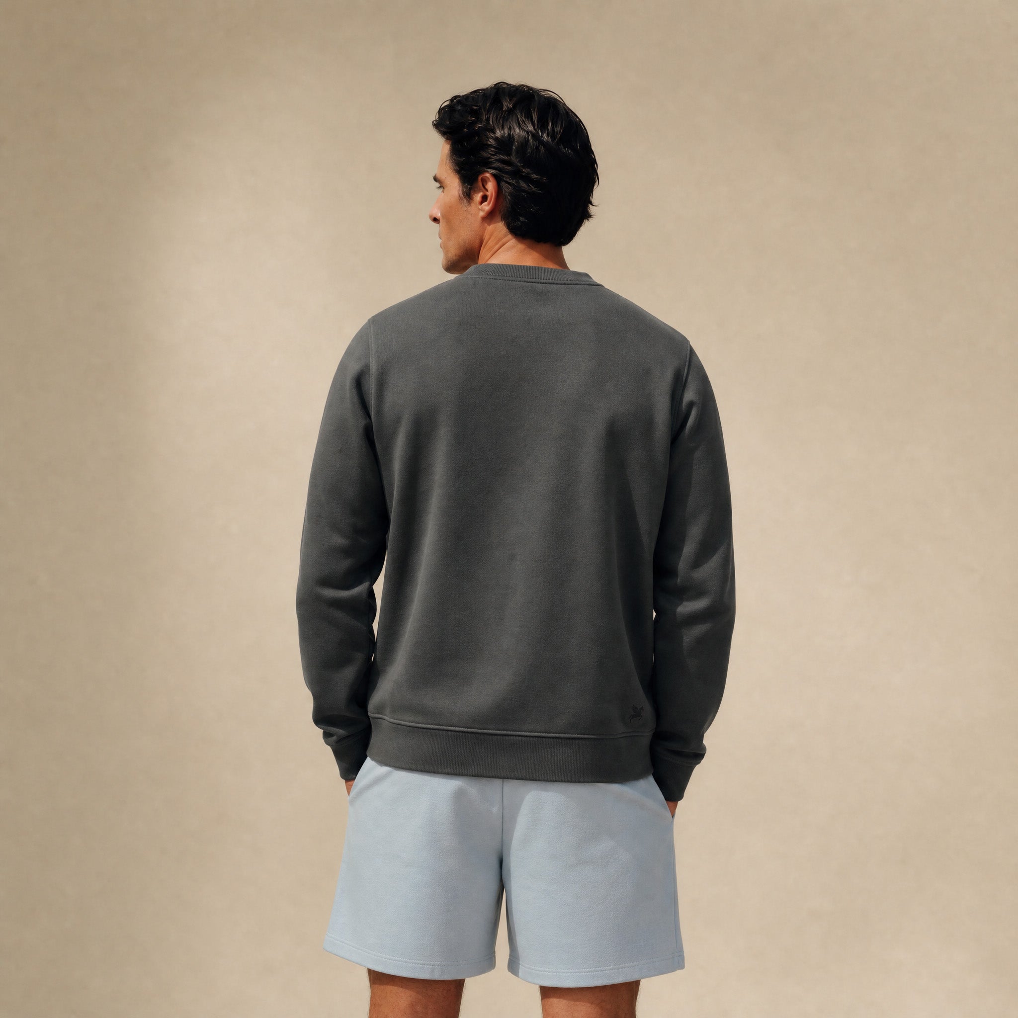 Terry Fleece Pullover model Matteo in Smoke