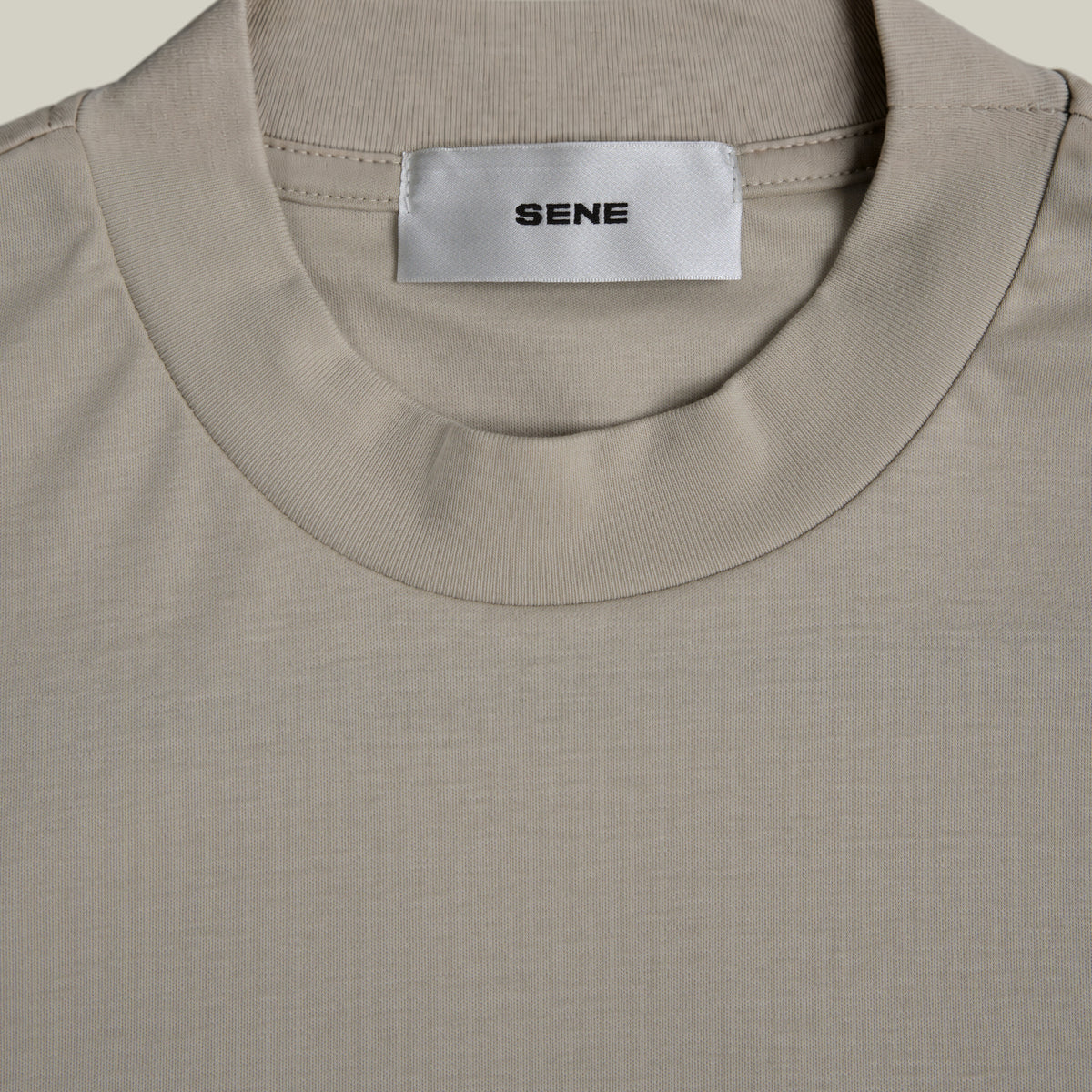 Pima Reserve Mock Neck T-Shirt model Guillermo in Beige