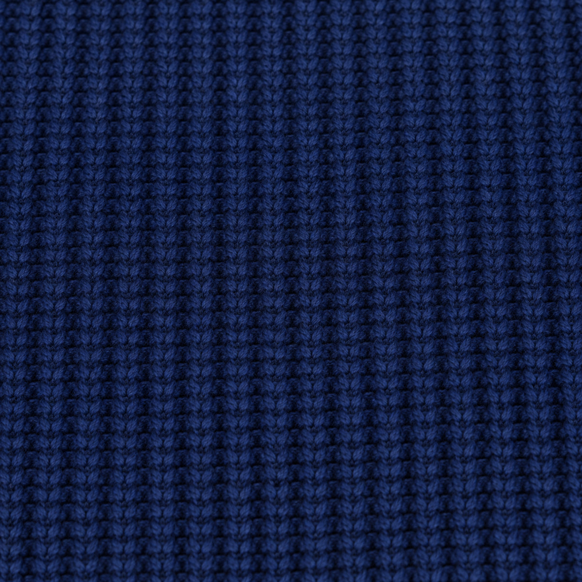 Knit Crewneck Sweater model Tyler in Ultramarine