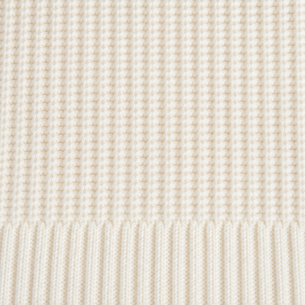 Knit Rugby Polo model Tyler in Cream