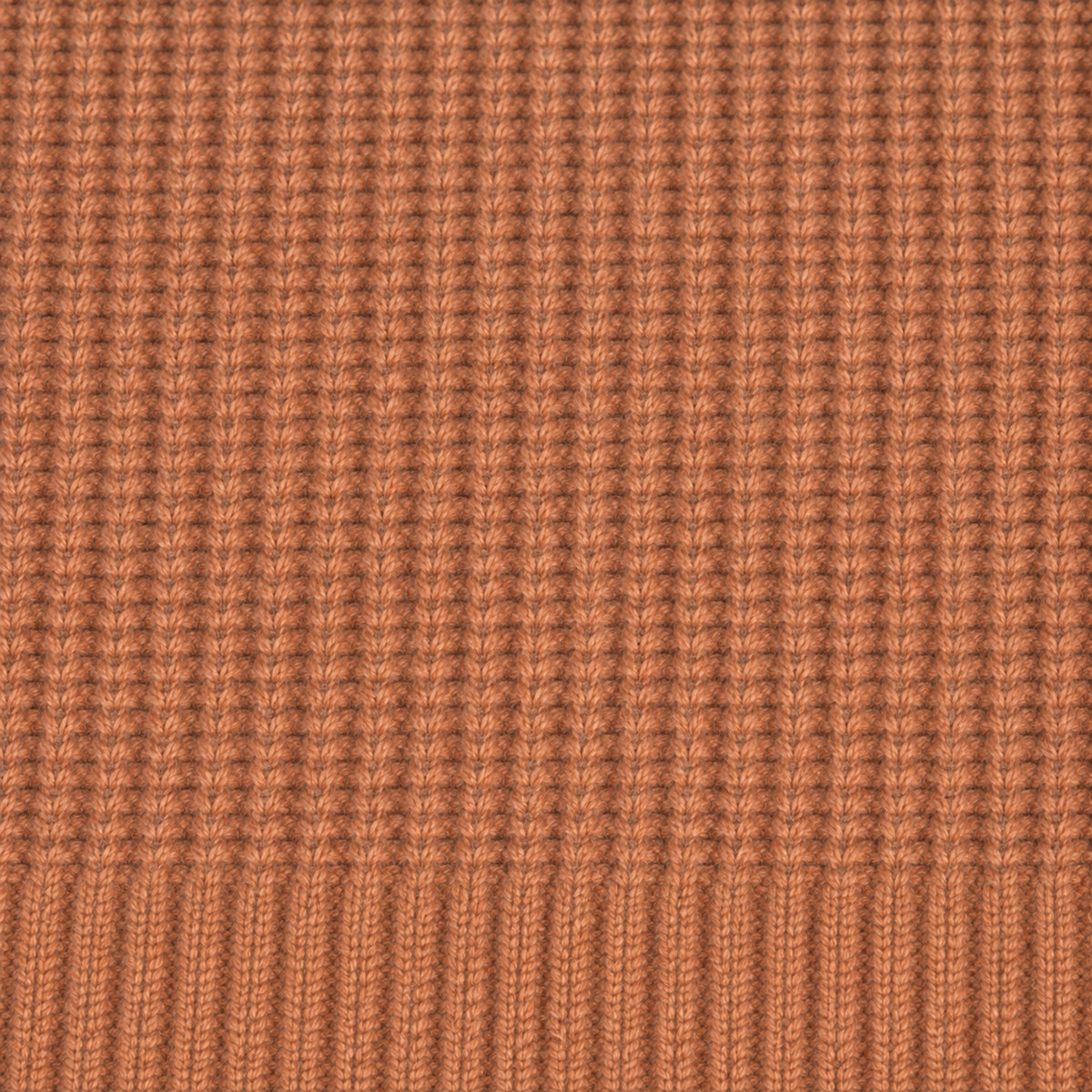 Knit Rugby Polo model Tyler in Cognac