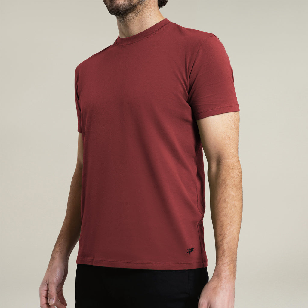 Cloud Crew T-Shirt model John in Maroon