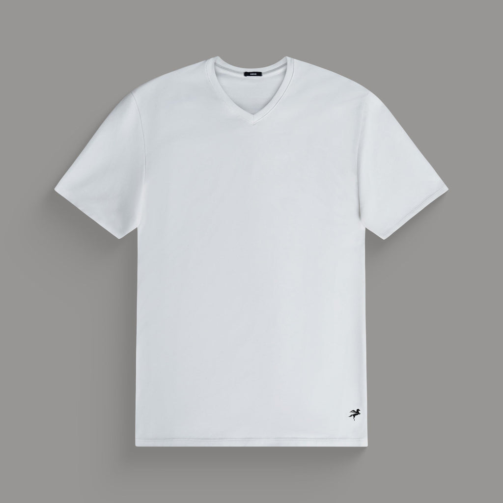 Cumulus v-neck t-shirt on a beige background model Tyler in Minimalist