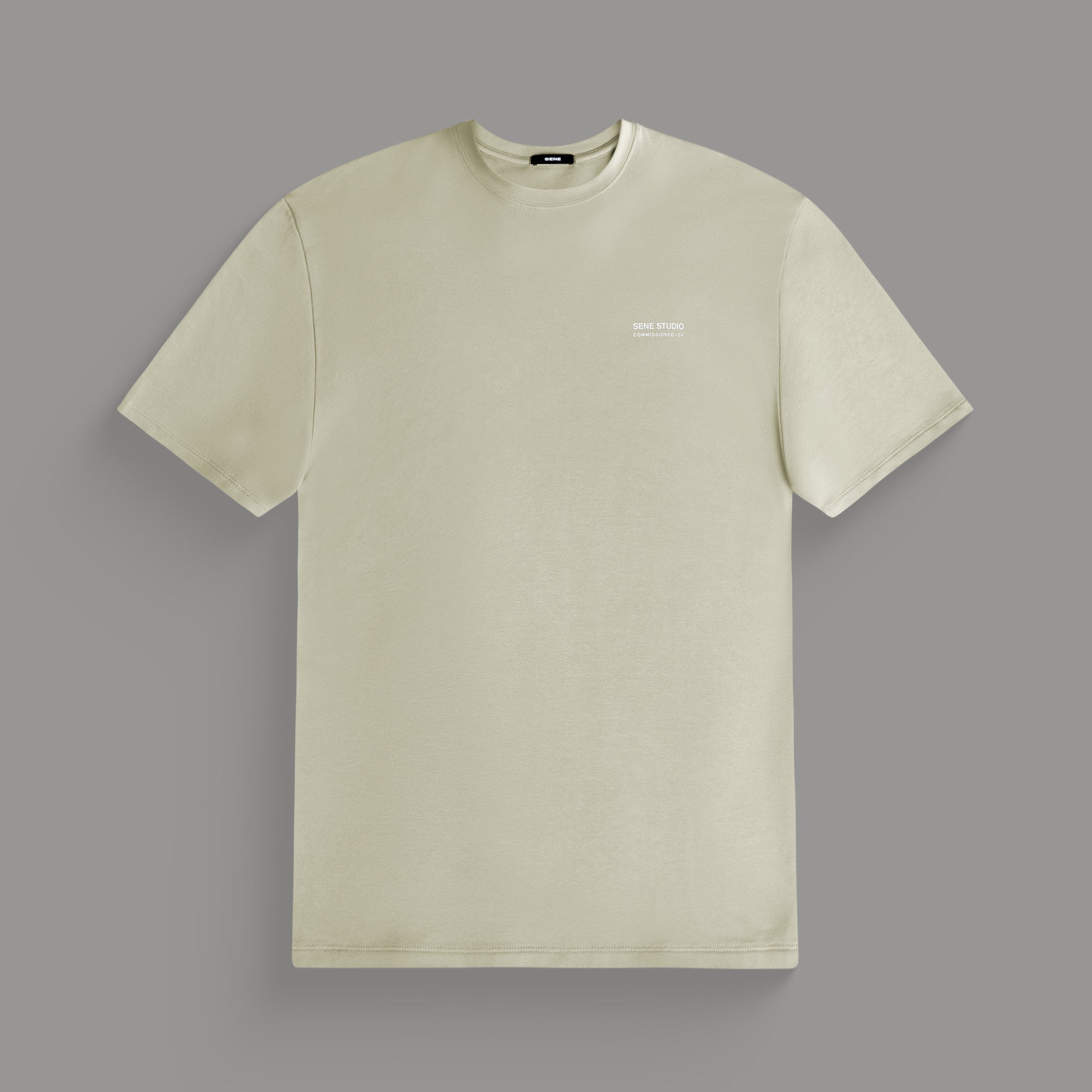 Tags:(6'0" - 180 lbs|Medium) custom t-shirt tee model Tyler in Mist