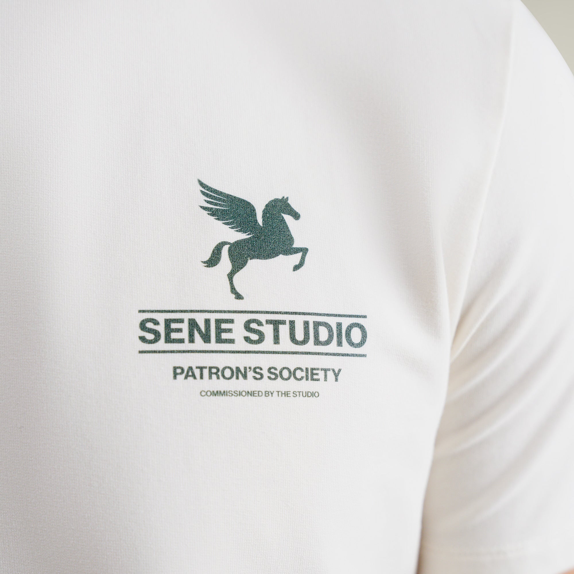 Tags:(Large | 6'1" - 165) Custom t-shirt tee model Jessey in Bone