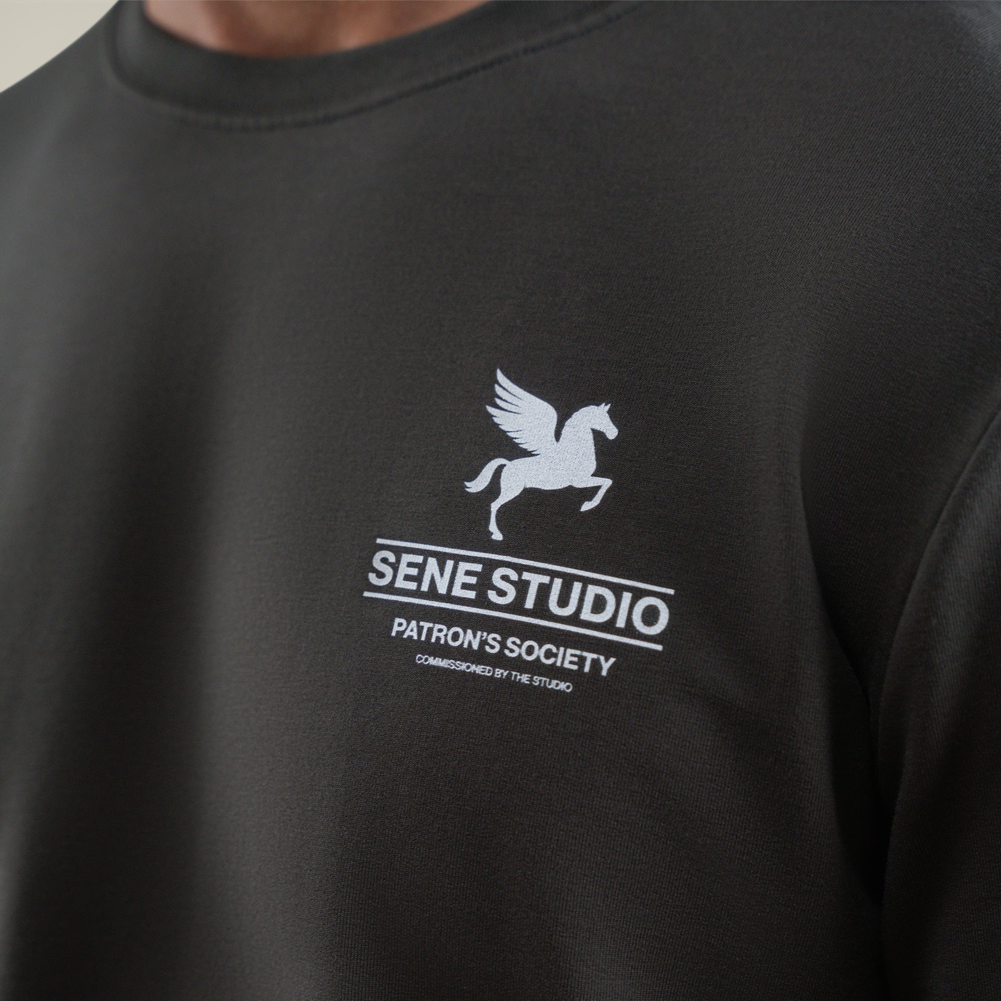 Tags:(Large | 6'1" - 165) Custom t-shirt tee model Jessey in Smoke