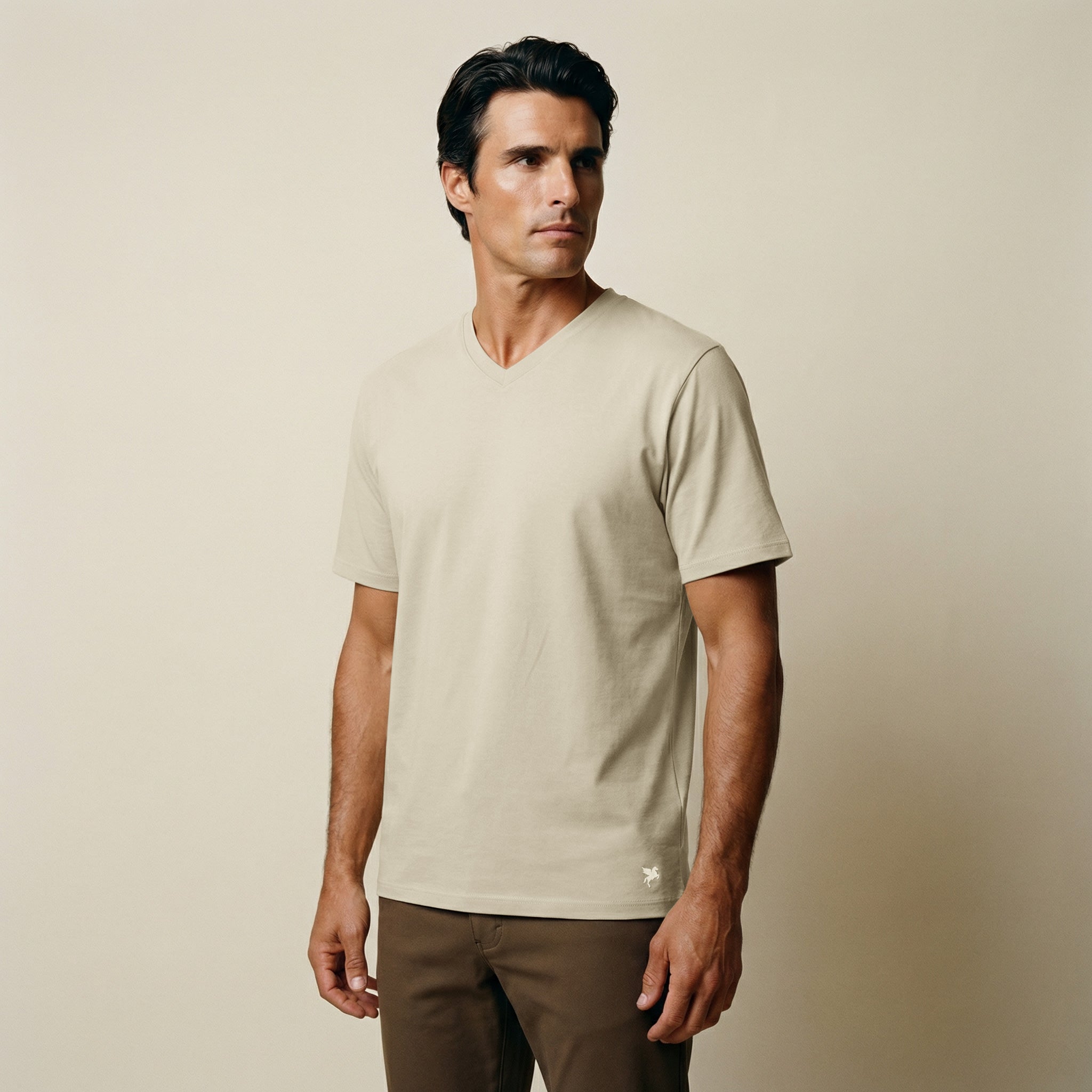 Cumulus V-Neck T-Shirt model Matteo in Villa Stone