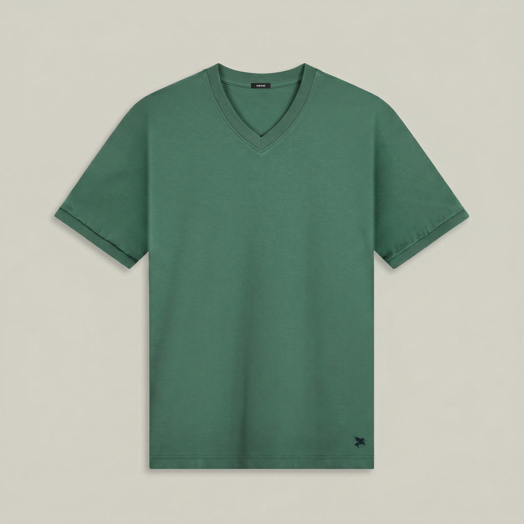 Pima Reserve V-Neck T-Shirt model Matteo in Sea moss